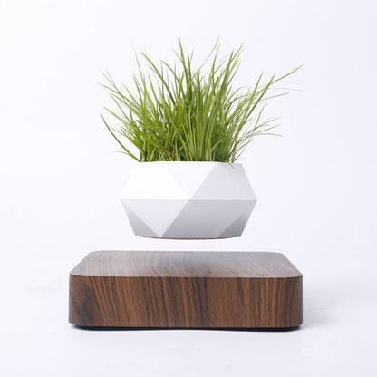 Confezione vaso levitante magnetico - kit completo arredamento