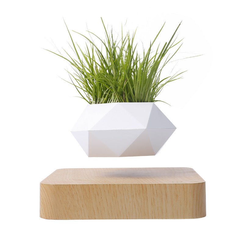 Vaso magnetico levitazione con pianta - arredamento moderno casa