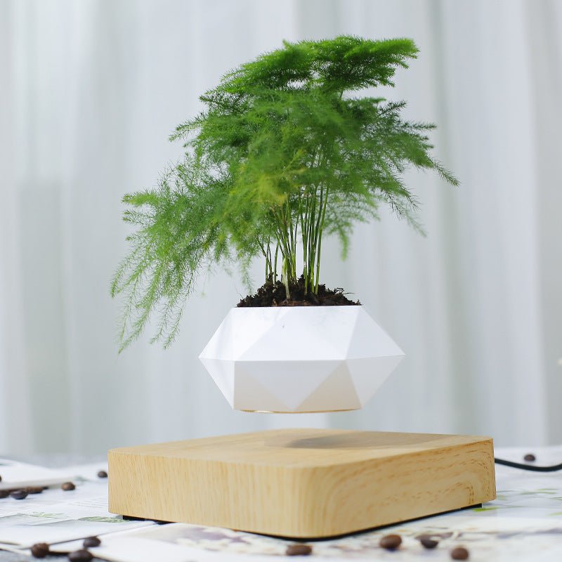 Base magnetica vaso levitante - design futuristico elegante
