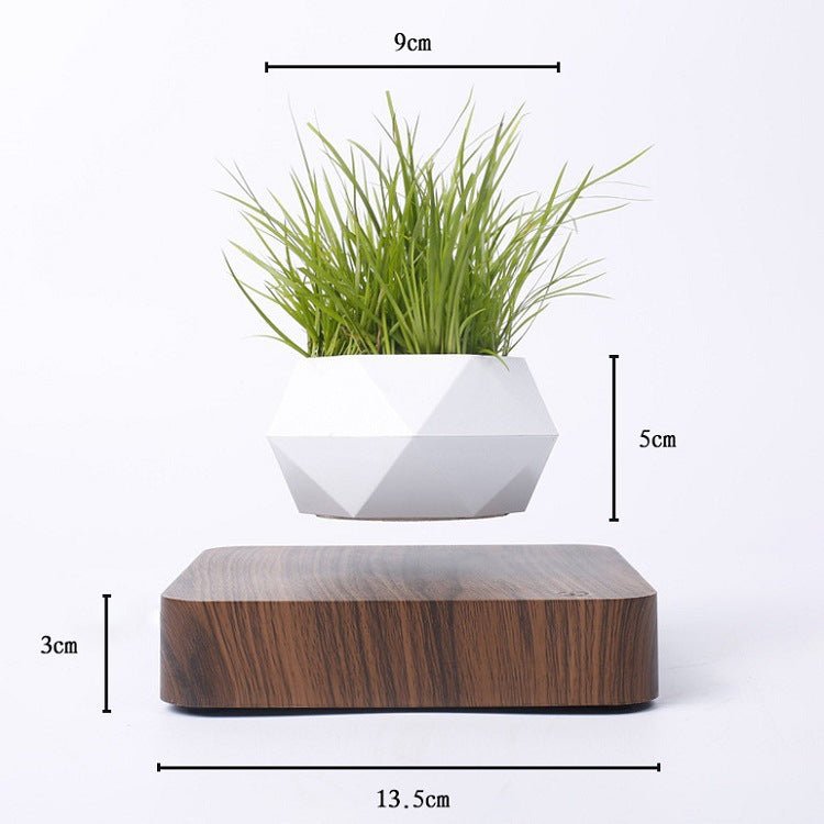 Vaso piante sospeso magnetismo - effetto decorativo unico