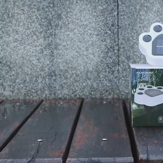 VIDEO Luce solare orso innovativa - Giardino zampa atmosfera 